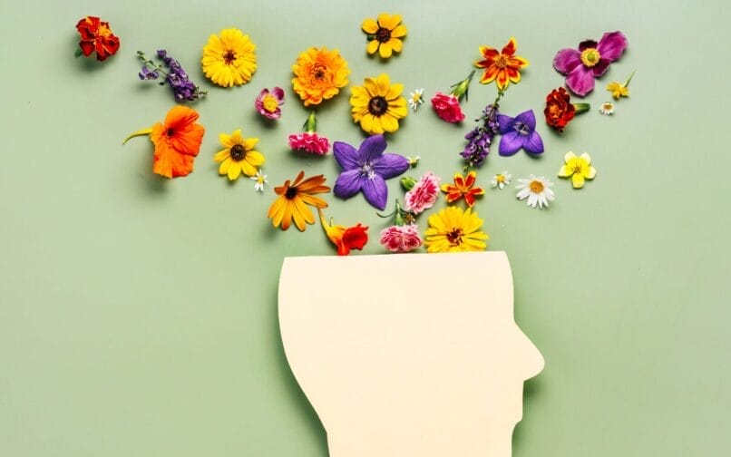 Mental Health Awareness Month: Why It Matters for Online Students