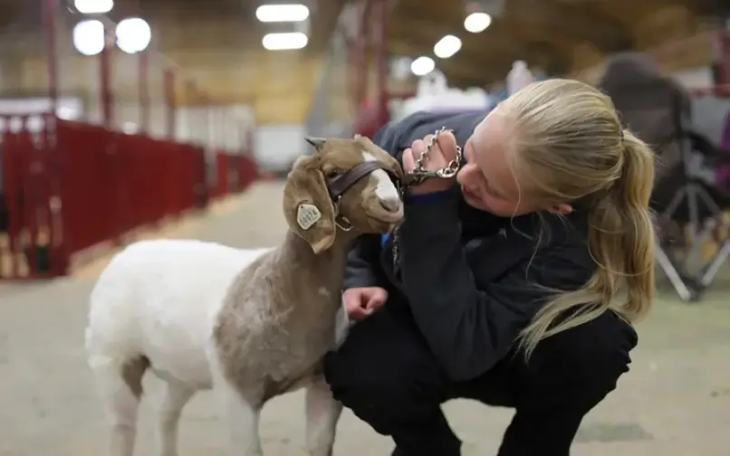 Student with a goat